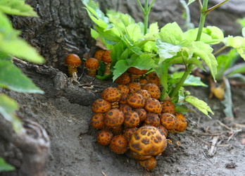 Similar image 1772913