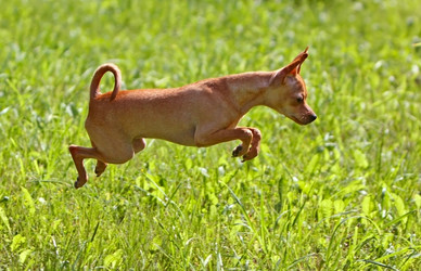 Similar image 1772914