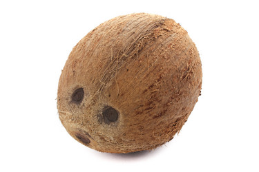 Similar image 1772930