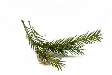 Similar image 1772955