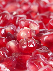 Similar image 1773031