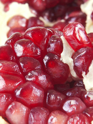 Similar image 1773052