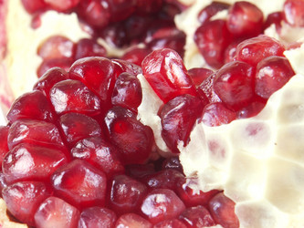 Similar image 1773053