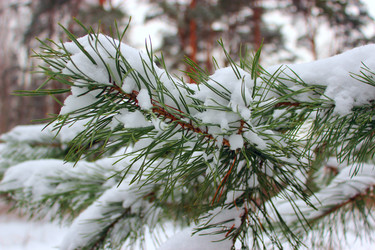 Similar image 1773194