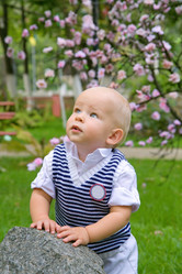 Similar image 1773321