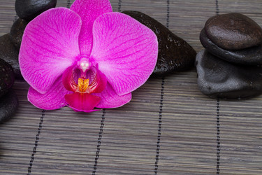 Similar image 1773437