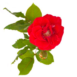 Similar image 1773438