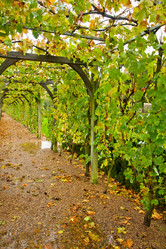 Similar image 1773459