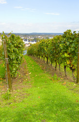 Similar image 1773469