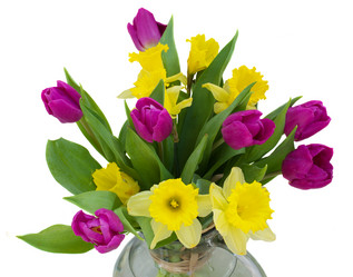 Similar image 1773478