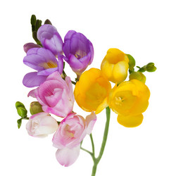 Similar image 1773485