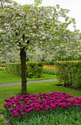 Similar image 1773499