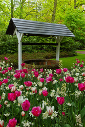 Similar image 1773500