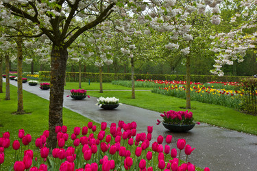 Similar image 1773504