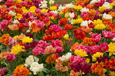 Similar image 1773508