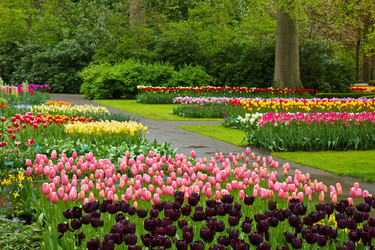 Similar image 1773510