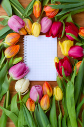 Similar image 1773526