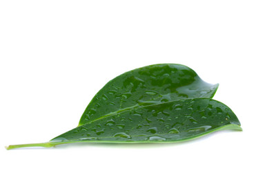 Similar image 1773567