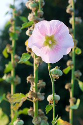 Similar image 1773616