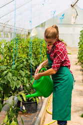 Similar image 1773720