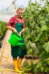 Similar image 1773722