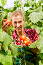 Similar image 1773723