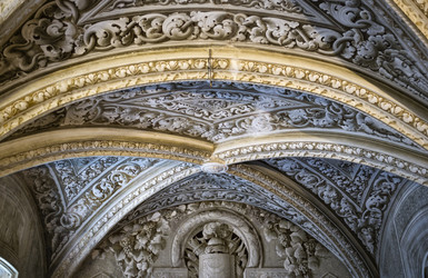 Similar image 1773779