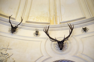 Similar image 1773783