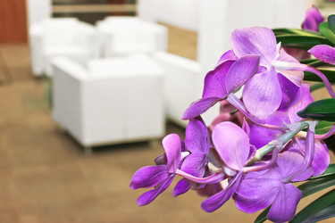 Similar image 1773812