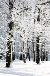 Similar image 1773883