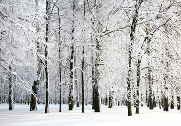 Similar image 1773899