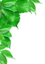 Similar image 1774047