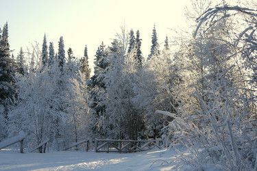 Similar image 1774052