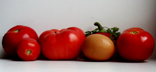 Similar image 1774064