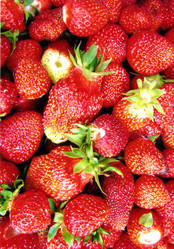 Similar image 1774106