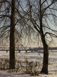 Similar image 1774116