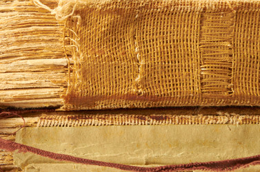 Similar image 1774149