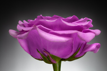 Similar image 1774163