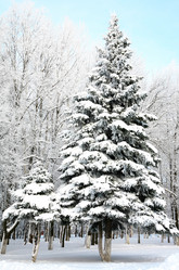 Similar image 1774185