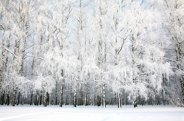 Similar image 1774218