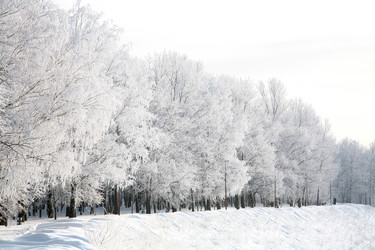 Similar image 1774220