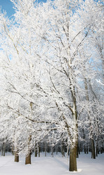 Similar image 1774221