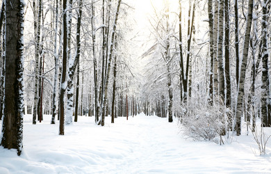 Similar image 1774222