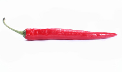 Similar image 1774230