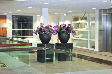 Similar image 1774266