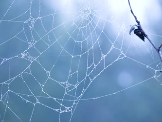 Similar image 1774303