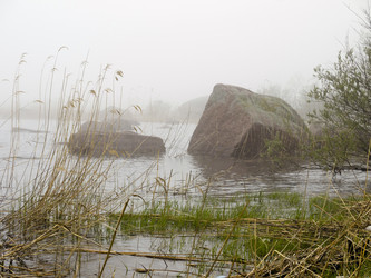 Similar image 1774305