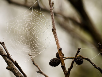 Similar image 1774309