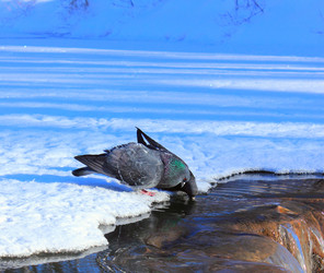 Similar image 1774333