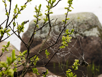 Similar image 1774358